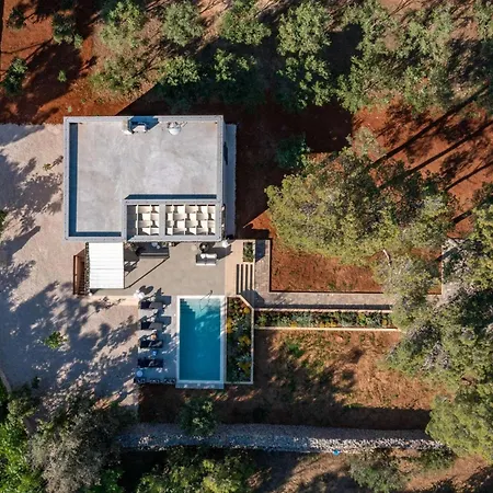 Olea Дом отдыха *